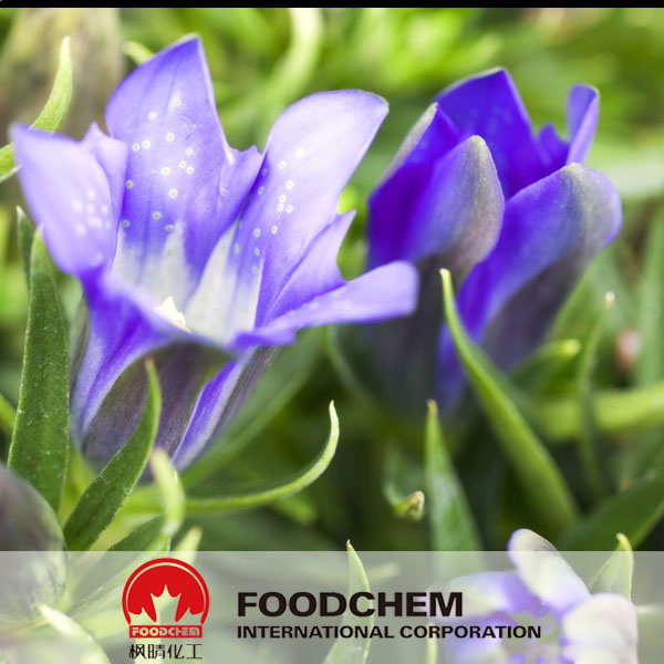 Gentian Root Extract